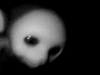 Snegerek
